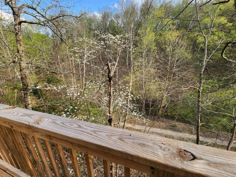 Dancing Bear Cabin- Relax & Enjoy! Sevierville Luaran gambar