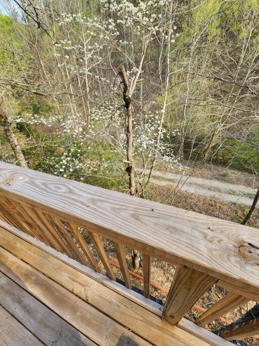 Dancing Bear Cabin- Relax & Enjoy! Sevierville Luaran gambar